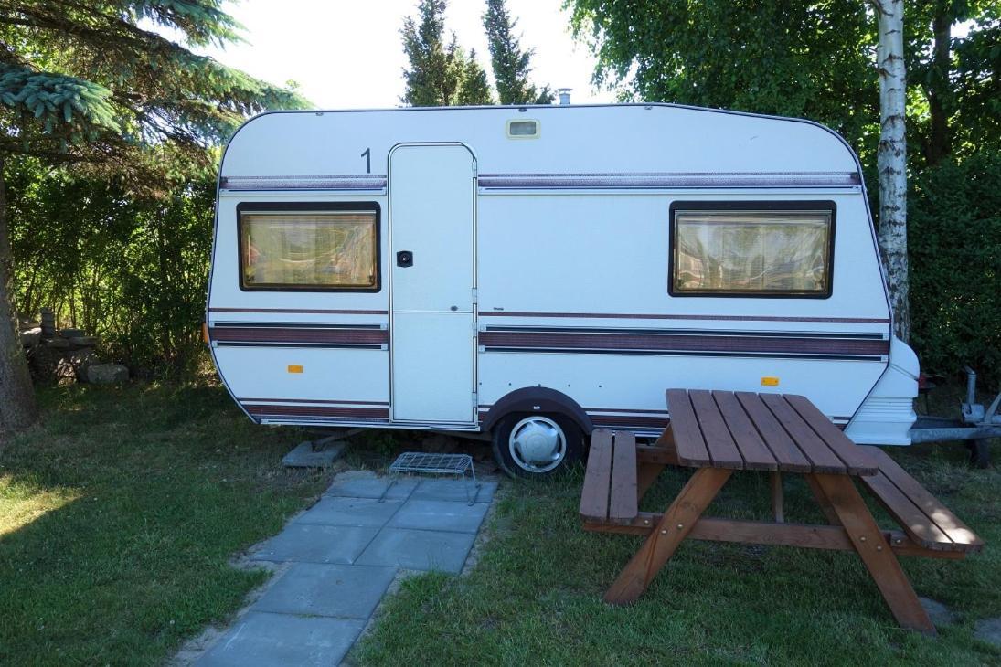 Camping Pod Zaglem 미엘노 외부 사진