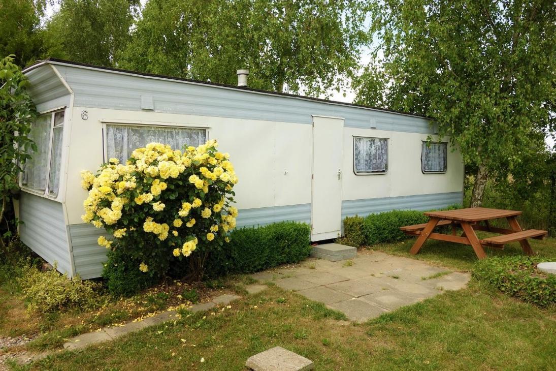 Camping Pod Zaglem 미엘노 외부 사진